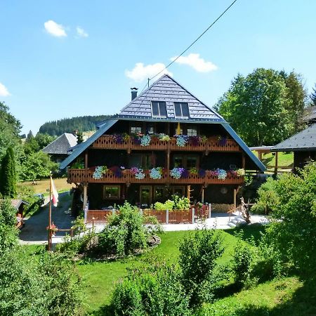 Ferienwohnungen Panoramablick ベルナウ・イム・シュヴァルツヴァルト エクステリア 写真